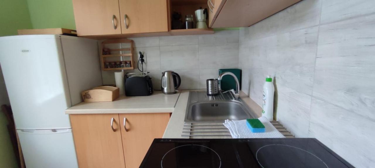 Zacisze Pod Bukami Apartment Gornica Exterior photo